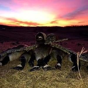 Meet your Posher, Paul